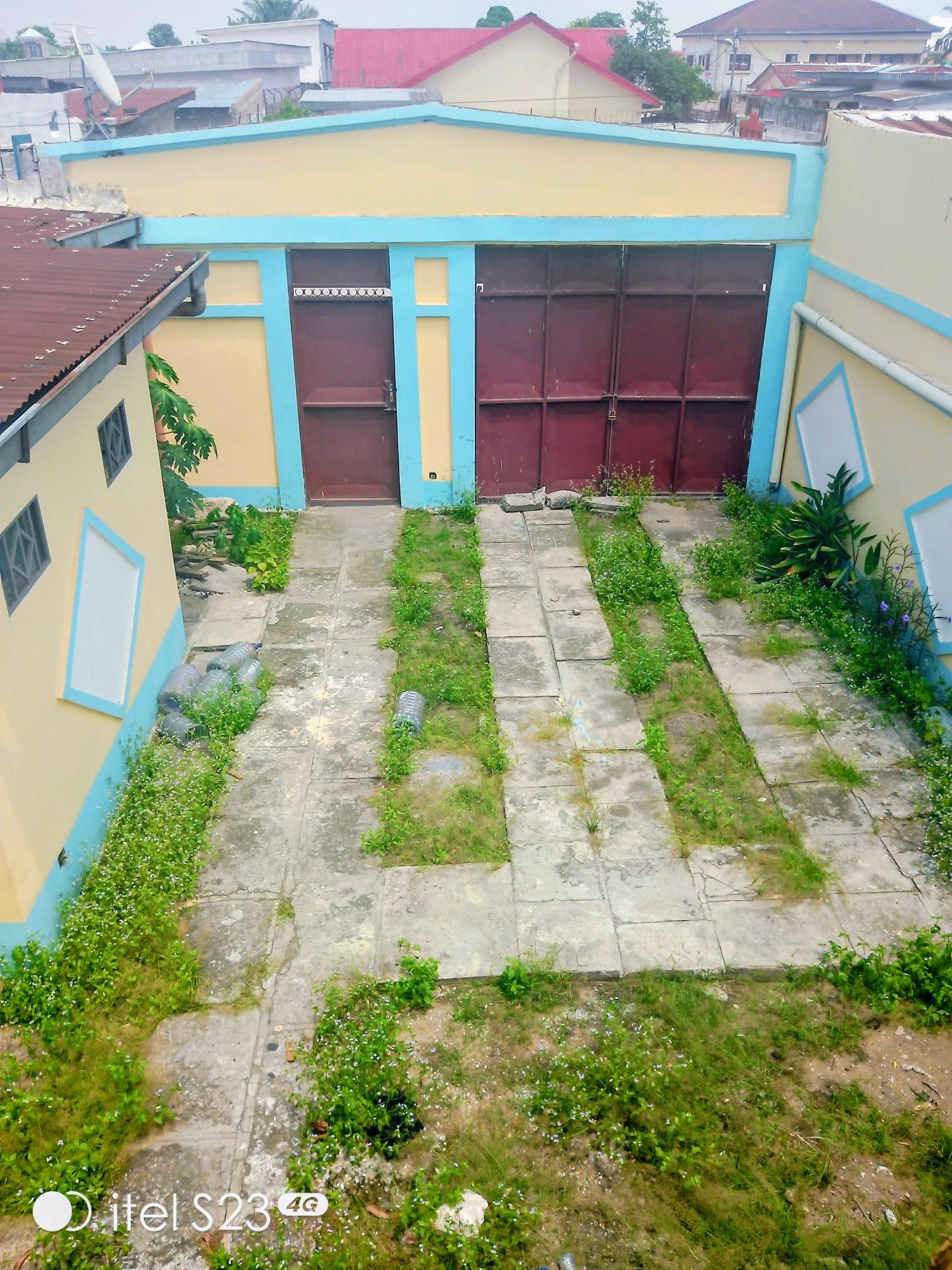 Miniature